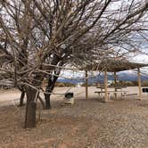 Review photo of Three Rivers Petroglyph Site by Hayley K., October 26, 2021