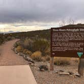 Review photo of Three Rivers Petroglyph Site by Hayley K., October 26, 2021