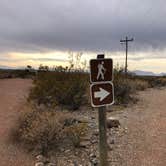 Review photo of Three Rivers Petroglyph Site by Hayley K., October 26, 2021