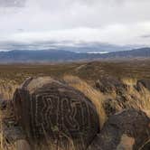 Review photo of Three Rivers Petroglyph Site by Hayley K., October 26, 2021