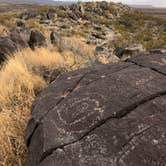 Review photo of Three Rivers Petroglyph Site by Hayley K., October 26, 2021