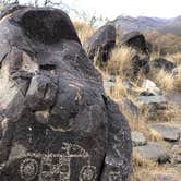 Review photo of Three Rivers Petroglyph Site by Hayley K., October 26, 2021