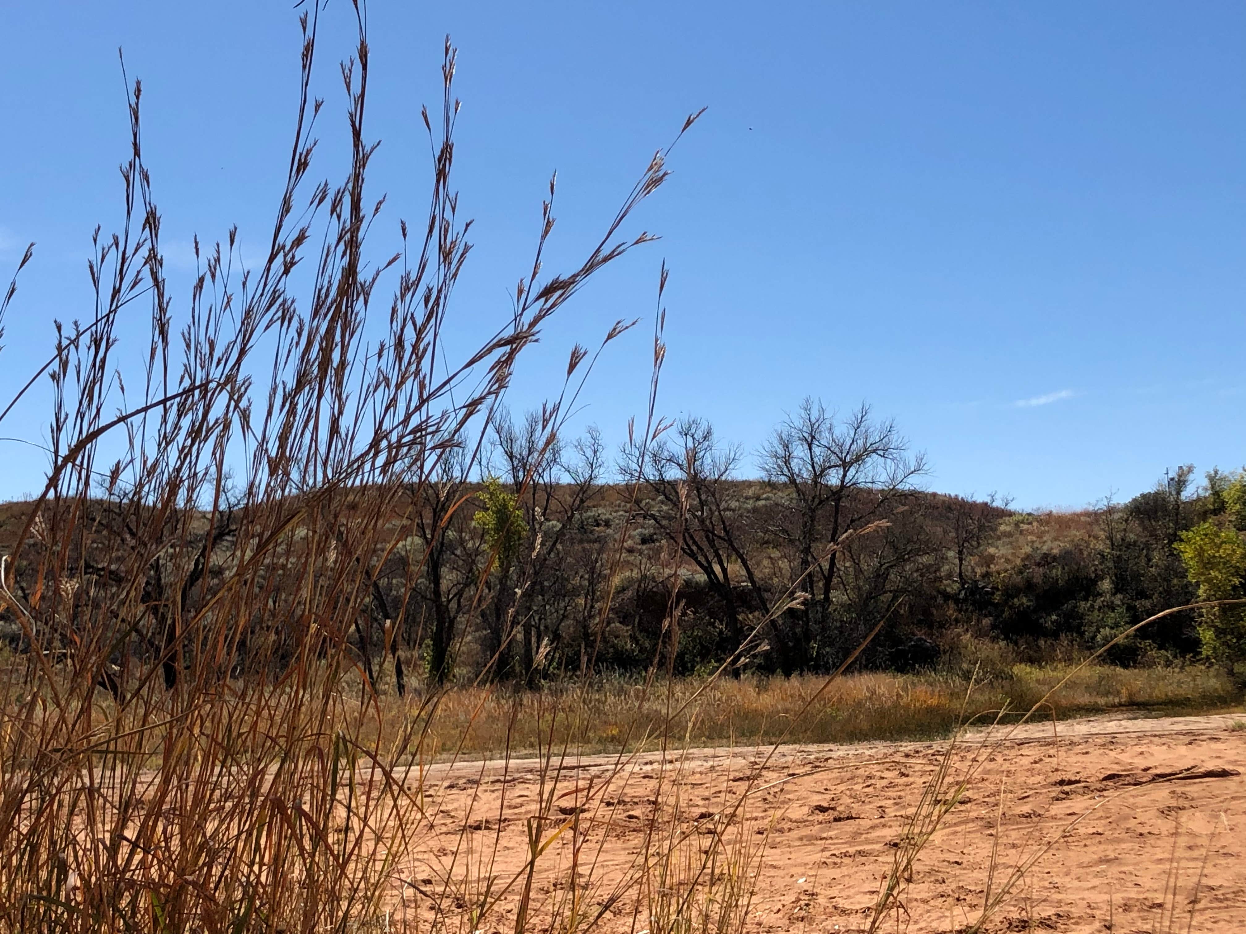 Camper submitted image from Blue Creek — Lake Meredith National Recreation Area - 2