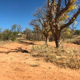 Review photo of Blue Creek — Lake Meredith National Recreation Area by N I., October 26, 2021