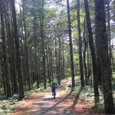 Review photo of Nickerson State Park Campground by Sarah H., July 23, 2016