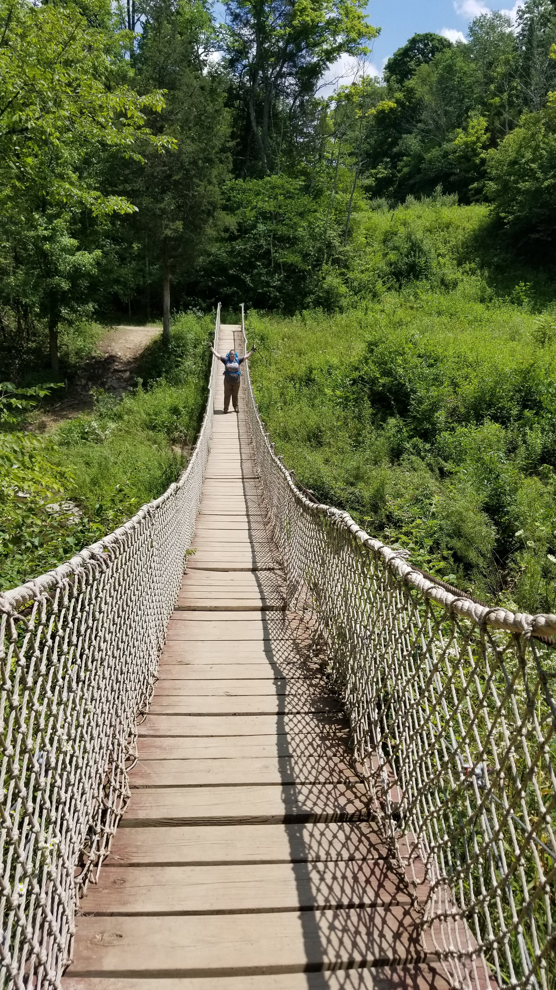 swinging bridge on the yellow trail - just reopened in 2015