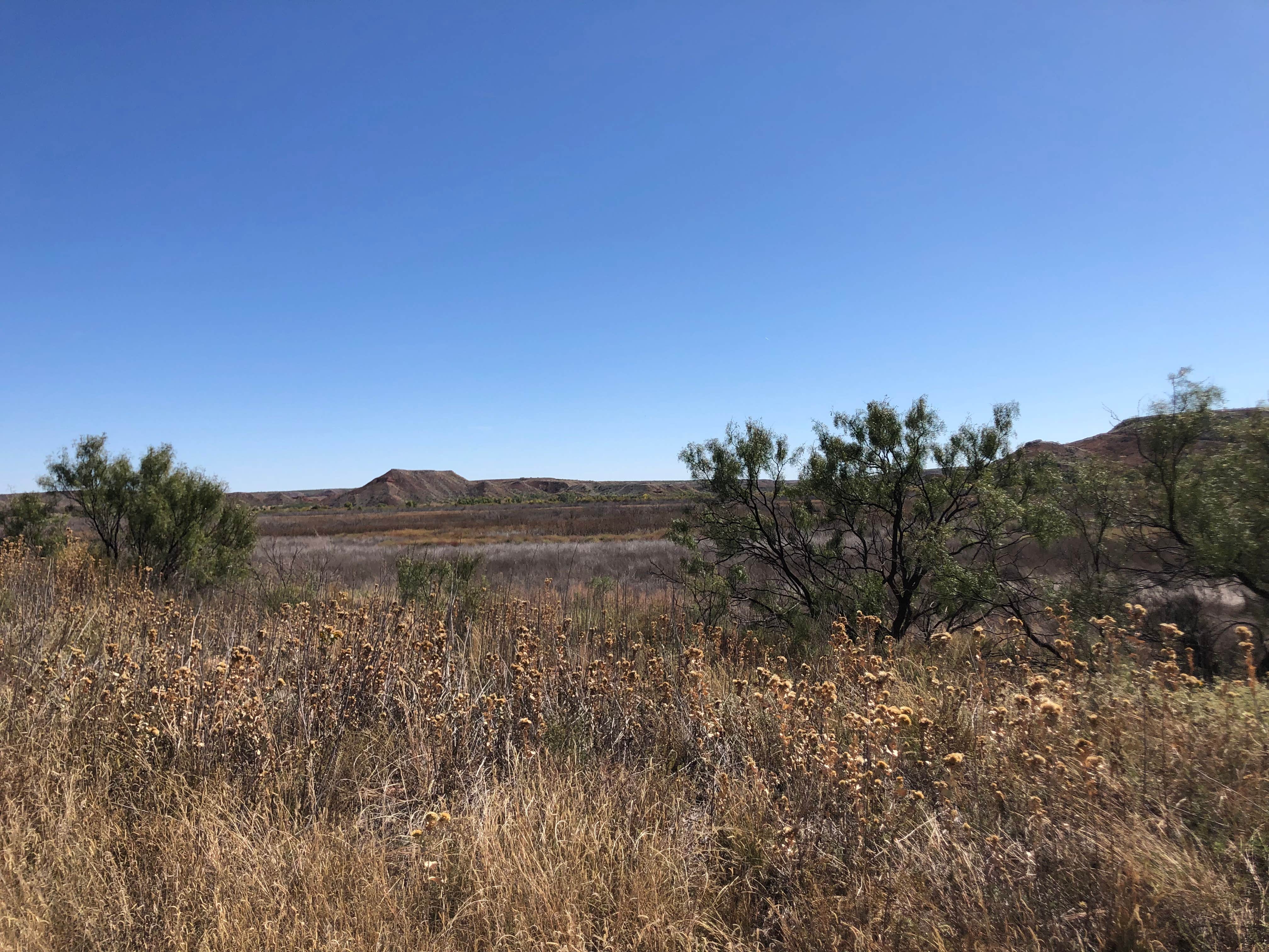 Camper submitted image from Plum Creek — Lake Meredith National Recreation Area - 4