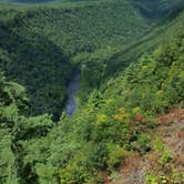 Review photo of Stony Fork Creek Campground by Jean T., July 5, 2018