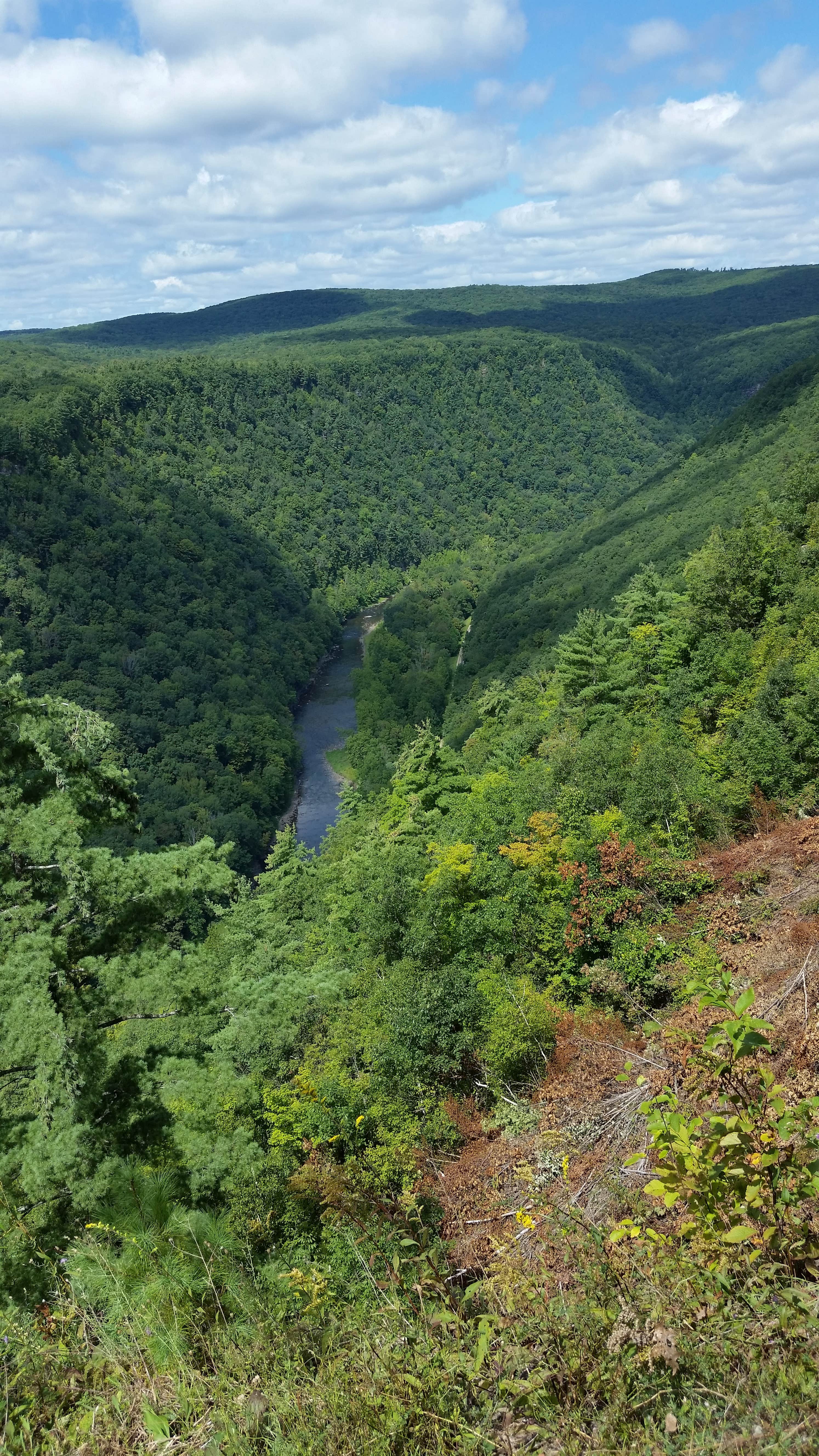 Camper submitted image from Stony Fork Creek Campground - 2