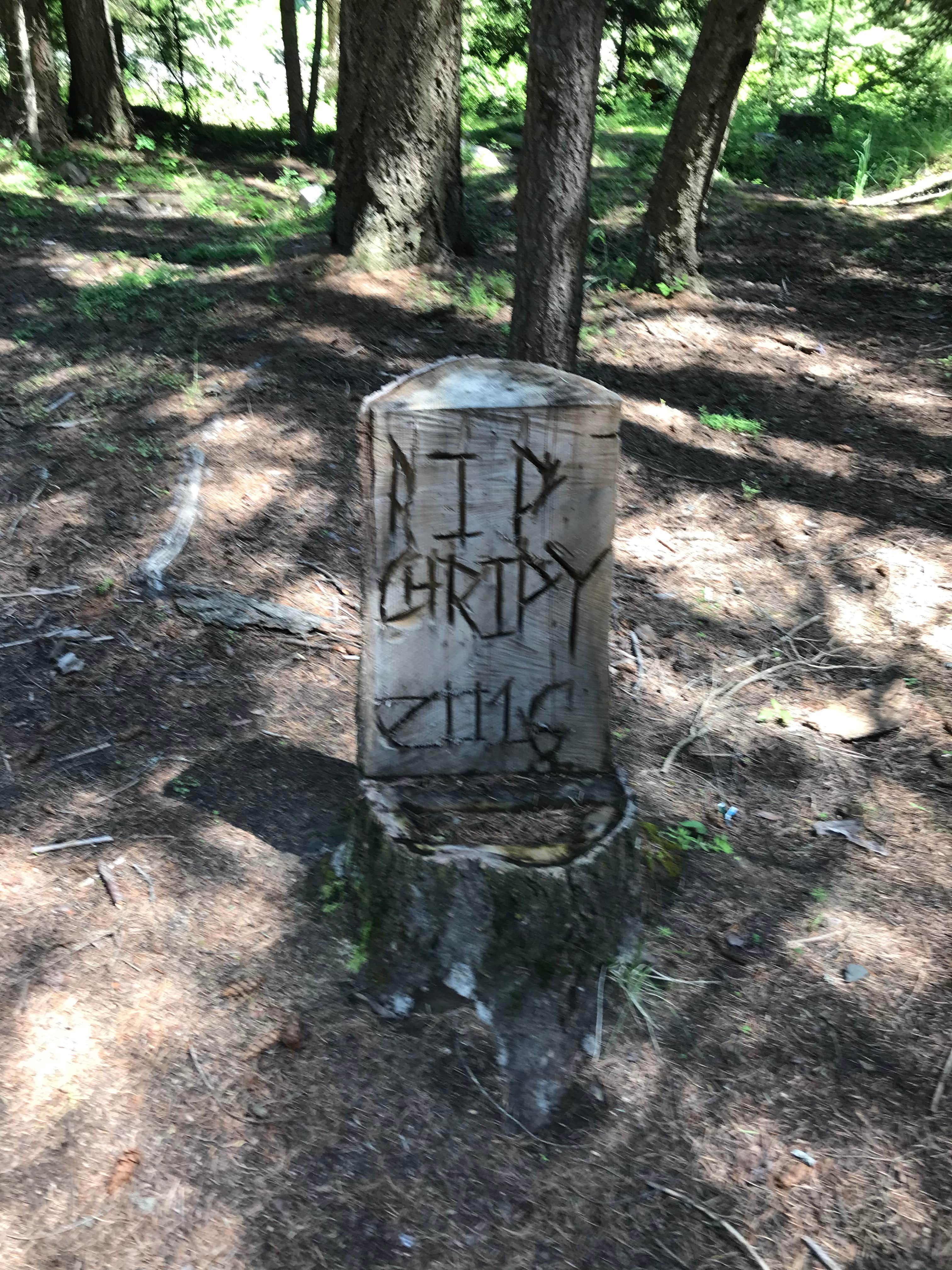 Camping near Olive Lake Campground (Or) — Umatilla National Forest: Oriental, Ukiah, Oregon