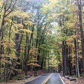 Review photo of Coopers Rock State Forest by Carol K., October 26, 2021