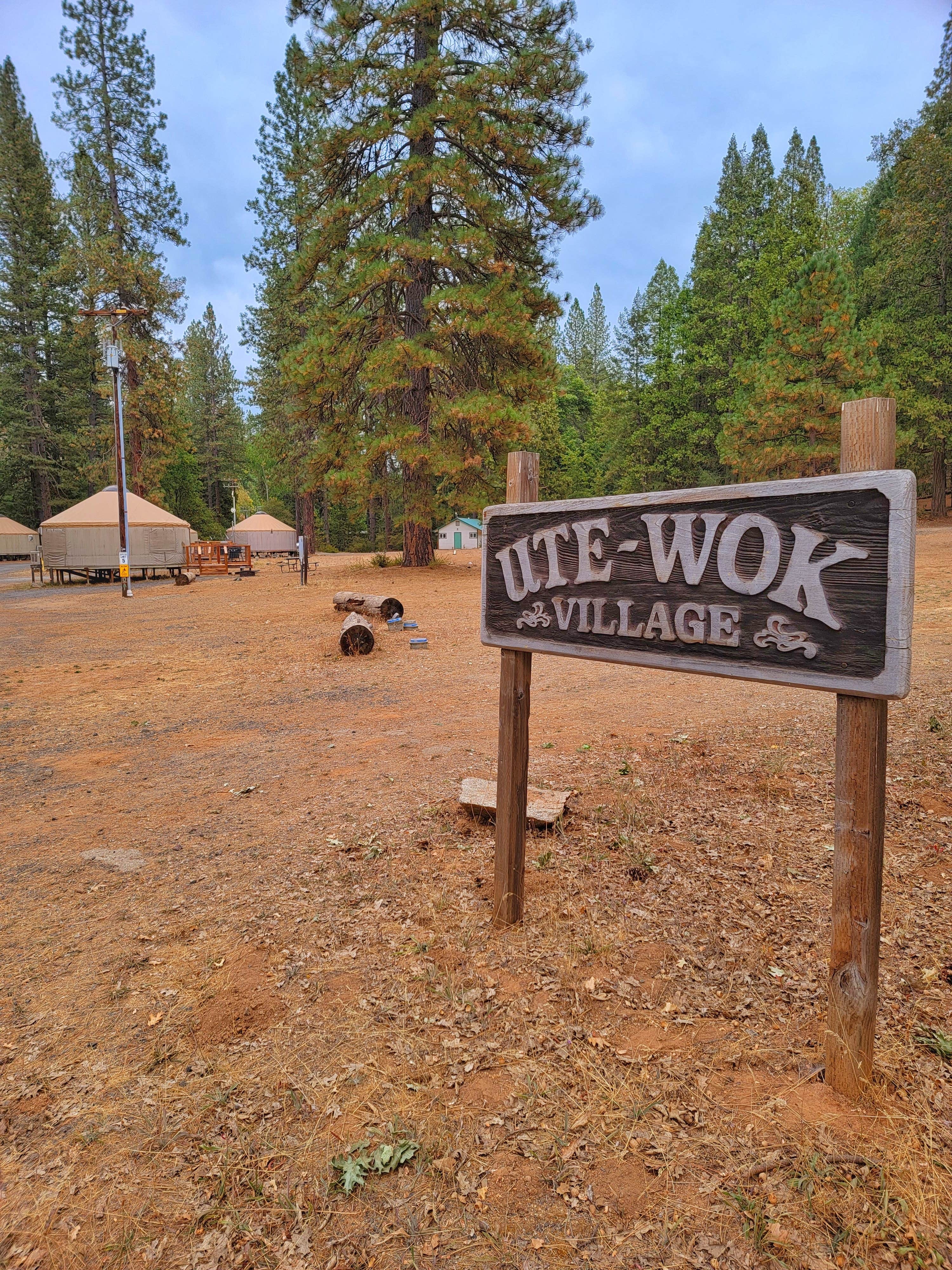 Derek & Alex W.'s photo at Thousand Trails Yosemite Lakes near Mather, CA