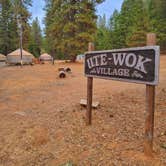 Review photo of Thousand Trails Yosemite Lakes by Derek & Alex W., October 26, 2021