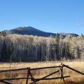 Review photo of 228A Dispersed Campsite by John M., October 26, 2021