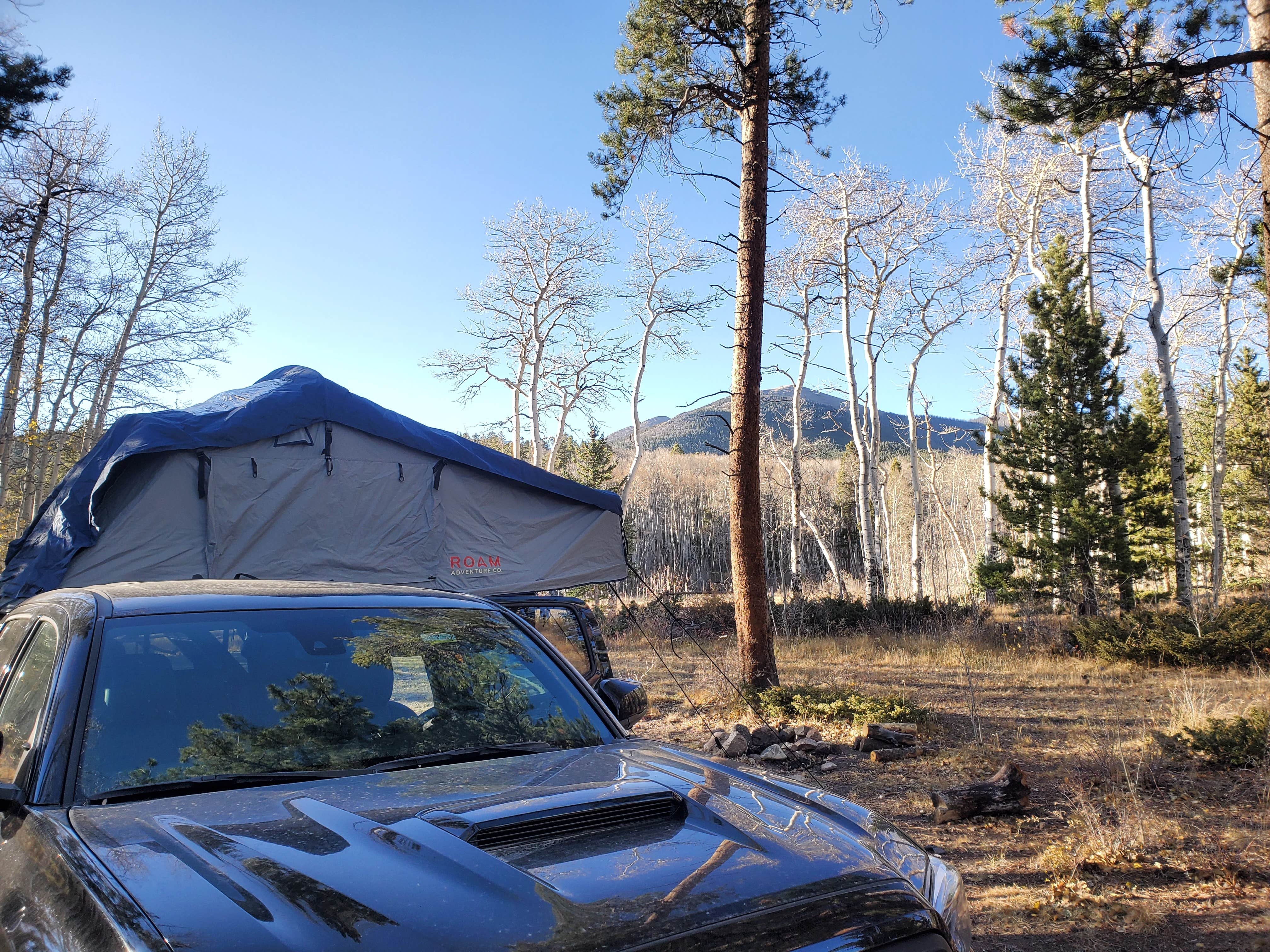 John M.'s photo of a dispersed camping area at 228A Dispersed Campsite near Howard, CO