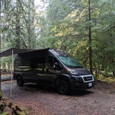 Review photo of Staircase Campground — Olympic National Park by Andrew B., October 26, 2021