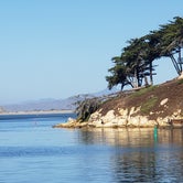 Review photo of Morro Bay State Park Campground by Alan , October 26, 2021