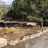 Review photo of Pinon Flats Campground — Great Sand Dunes National Park by CC C., October 26, 2021