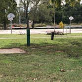 Review photo of Randlett Park by N I., October 26, 2021