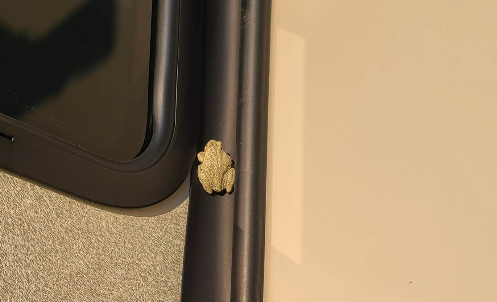 Camper-submitted photo at White Acres Campground near Frankfort, KY