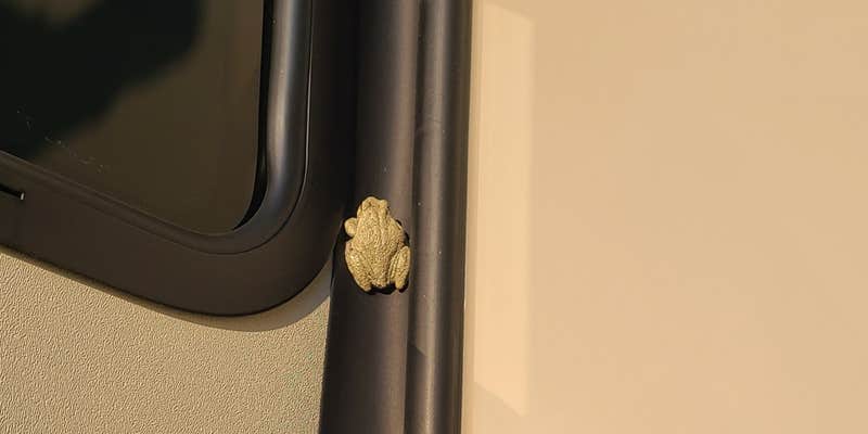 Camper submitted image from White Acres Campground