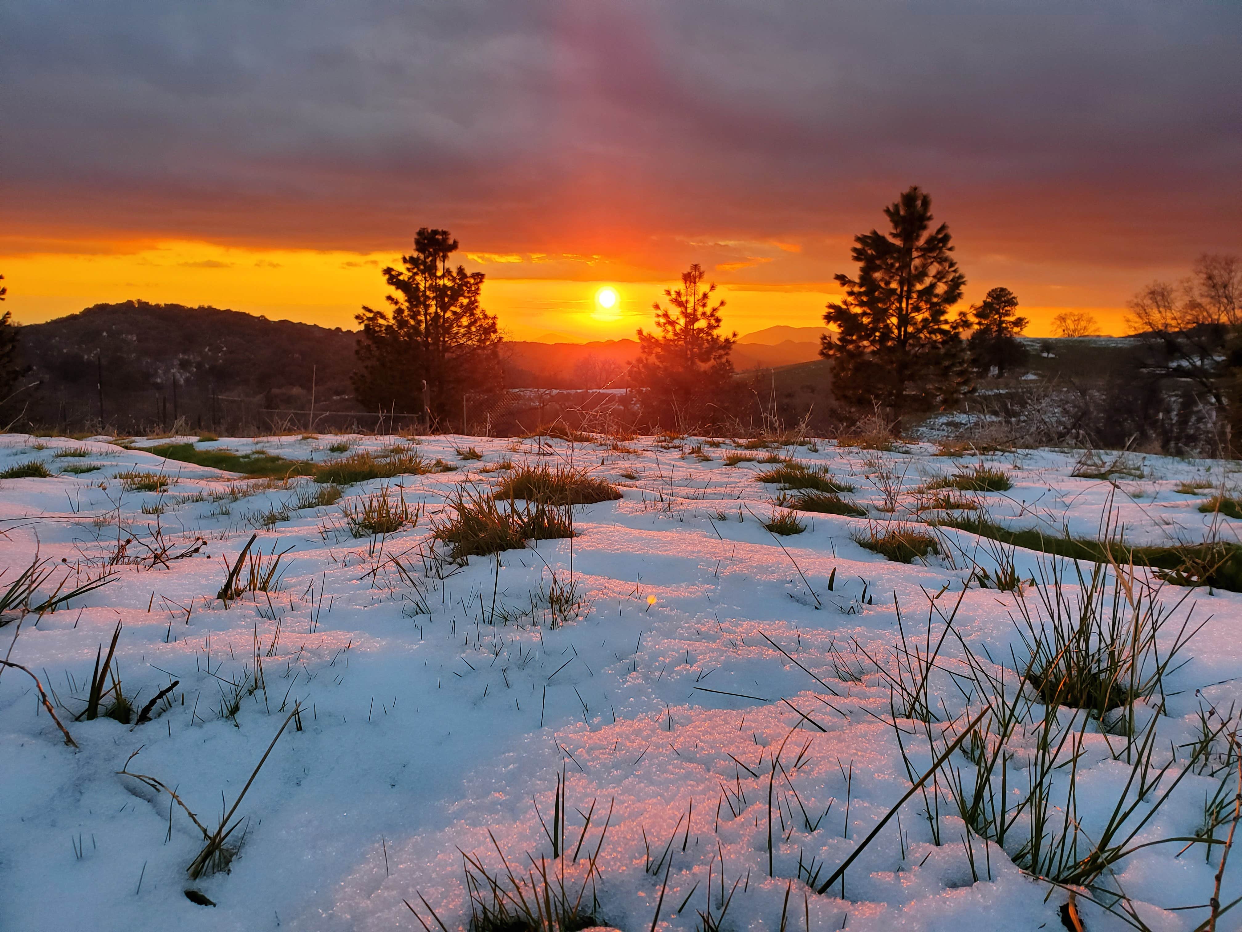 Camping near Mike and Di's Retreat: Sequoia Mountain Farms, Badger, California