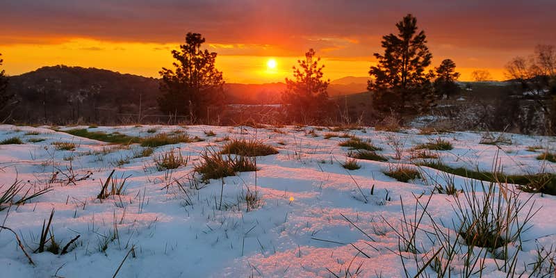 Camper submitted image from Sequoia Mountain Farms