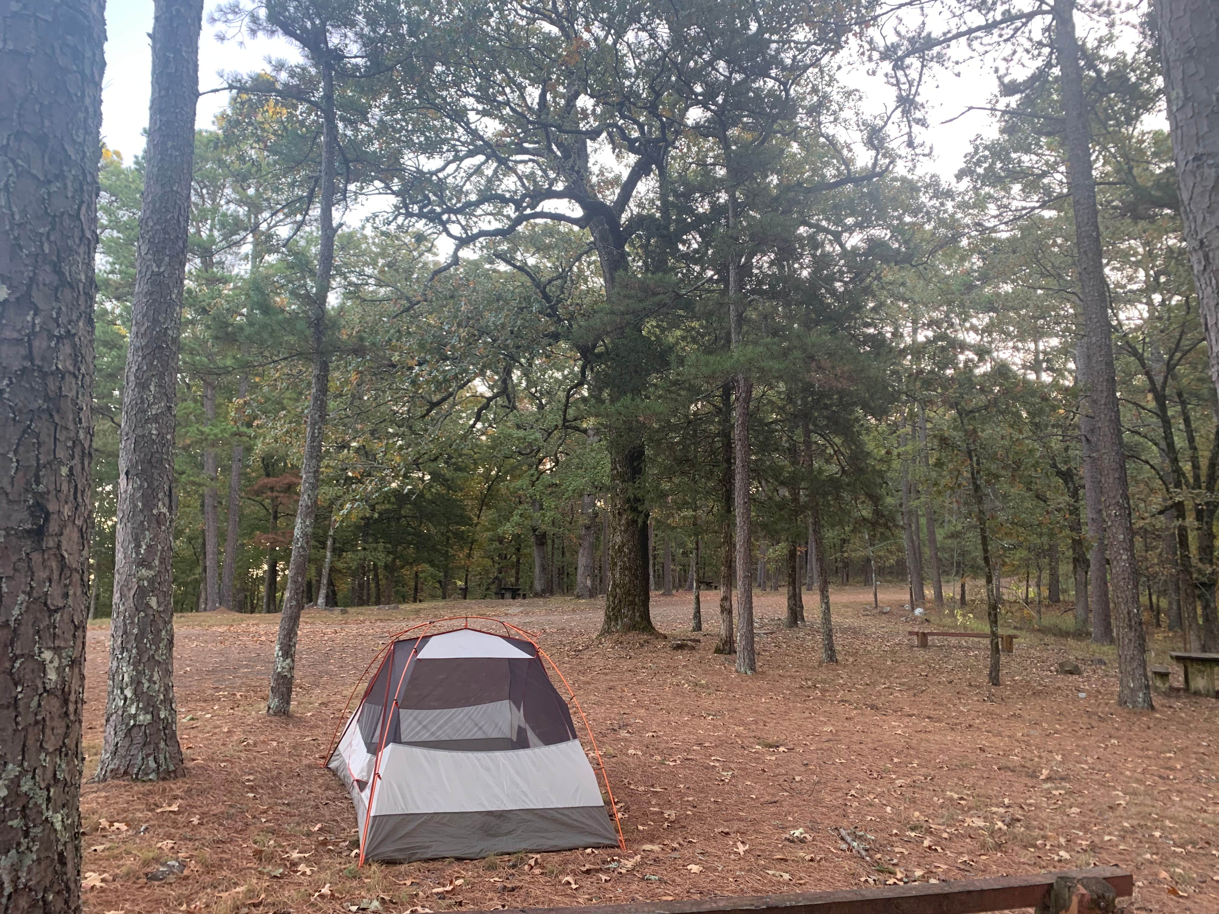Alex B.'s photo of tent camping at Fourche Mountain Campground near Mansfield, AR