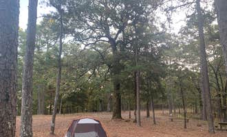 Camping near Carter Cove: Fourche Mountain Campground, Plainview, Arkansas