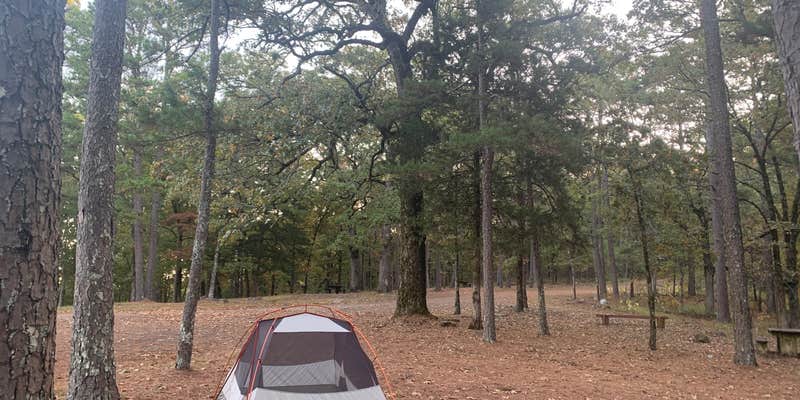 Camper submitted image from Fourche Mountain Campground