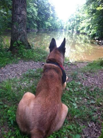 Wayne S.'s photo of camping with pets at Gettysburg Campground in Pennsylvania