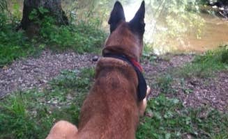 Wayne S.'s photo of camping with pets at Gettysburg Campground in Pennsylvania