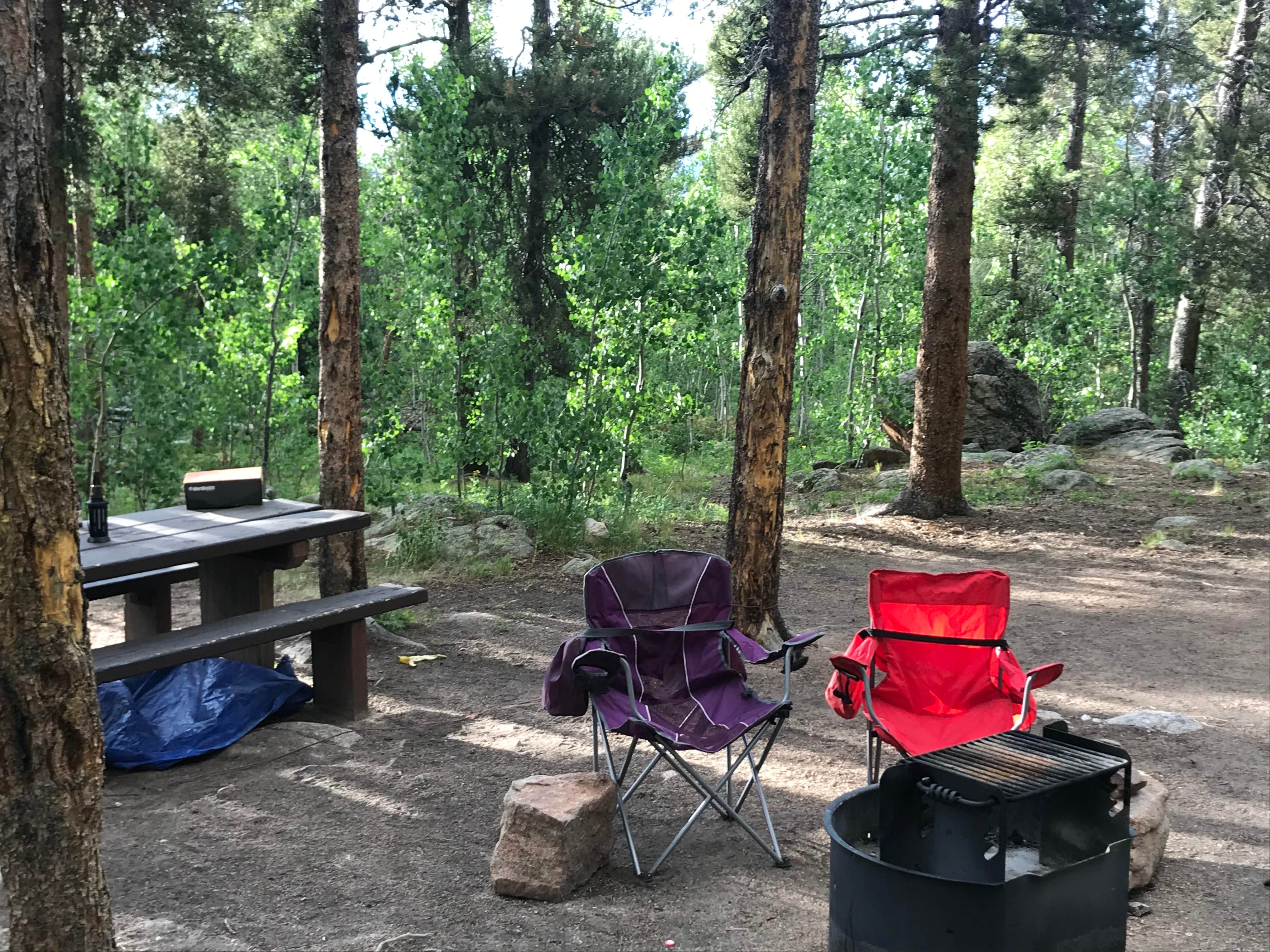 Camper submitted image from Kenosha Pass Campground - 4