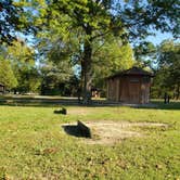 Review photo of Woody Trail - Twin Bridges — Grand Lake State Park by Dexter I., October 27, 2021