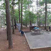 Review photo of Canoe Landing Group Campsite — James River State Park by Georgette , October 27, 2021