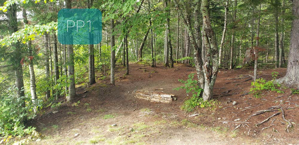 Camper-submitted photo at Big Pleasant Pond near Frenchtown, ME