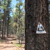 Review photo of Kenosha Pass Campground by Hillary M., July 5, 2018