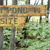 Review photo of Big Pleasant Pond by Jean C., October 27, 2021