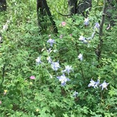 Review photo of Kenosha Pass Campground by Hillary M., July 5, 2018