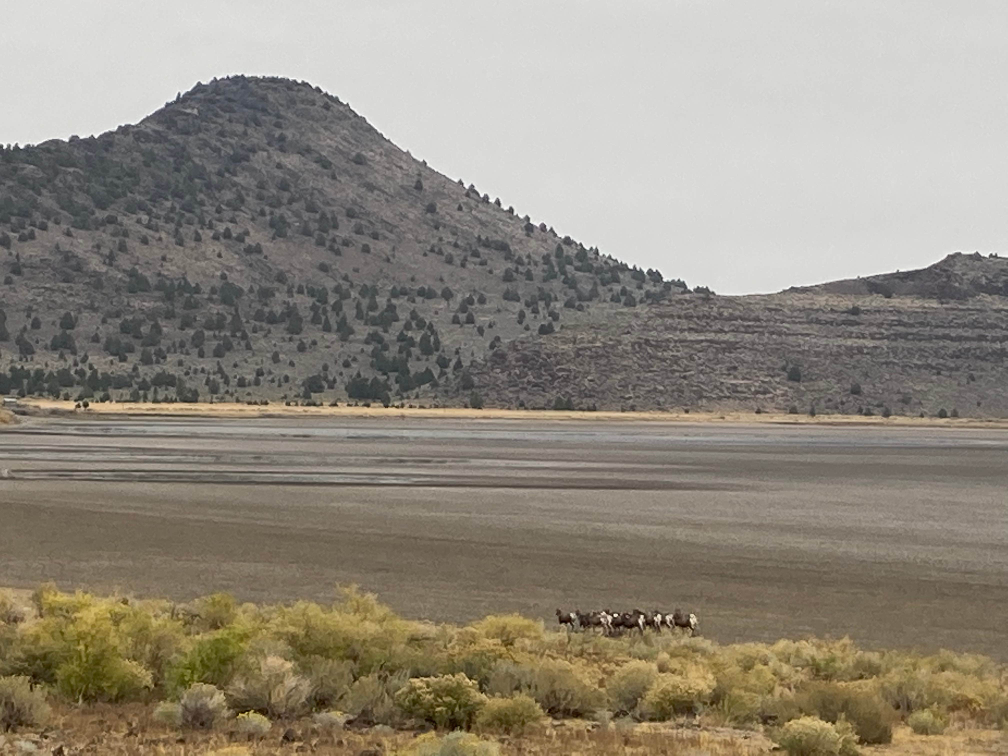Camper-submitted photo at Hogback Road Dispersed near Davis Creek, CA