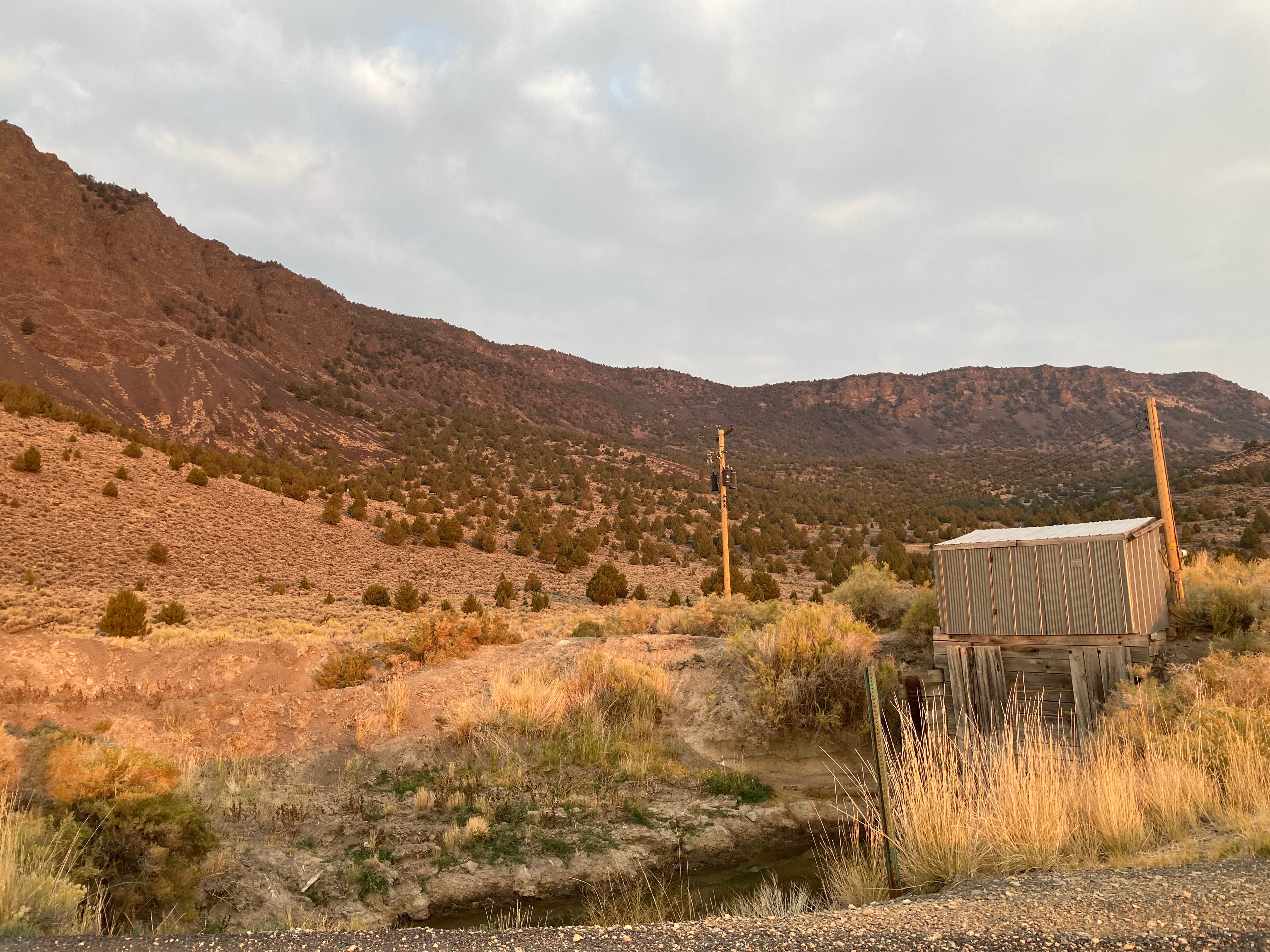 Camper submitted image from Hogback Road Dispersed - 3