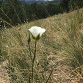 Review photo of Kenosha Pass Campground by Hillary M., July 5, 2018