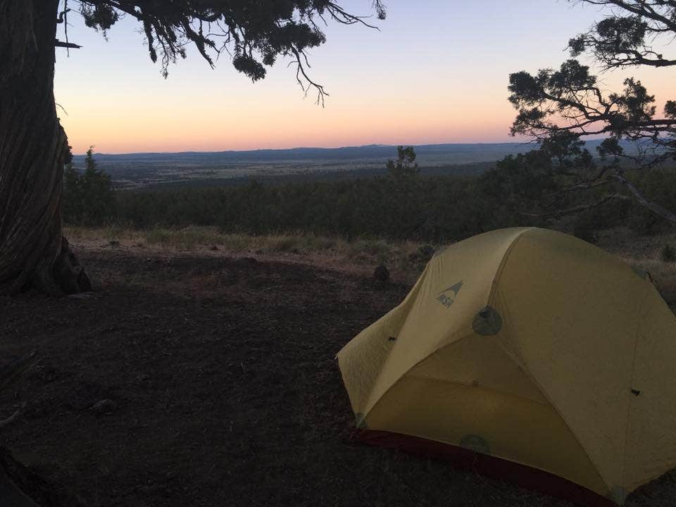 Gabrielle S.'s photo at Green Mountain Campground near Fort Rock, OR