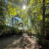 Review photo of Croatan National Forest Oyster Point Campground by Mambo M., October 27, 2021