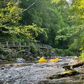 Review photo of Deep Creek Campground — Great Smoky Mountains National Park by Mambo M., October 27, 2021