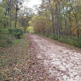 Review photo of Big Hollow Recreation Area by Fred S., October 27, 2021