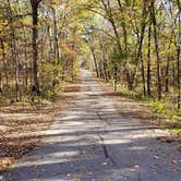 Review photo of Twin Valley Campground — Governor Dodge State Park by Fred S., October 27, 2021