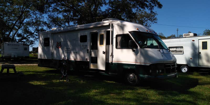 Camper submitted image from Southern Trails RV Resort