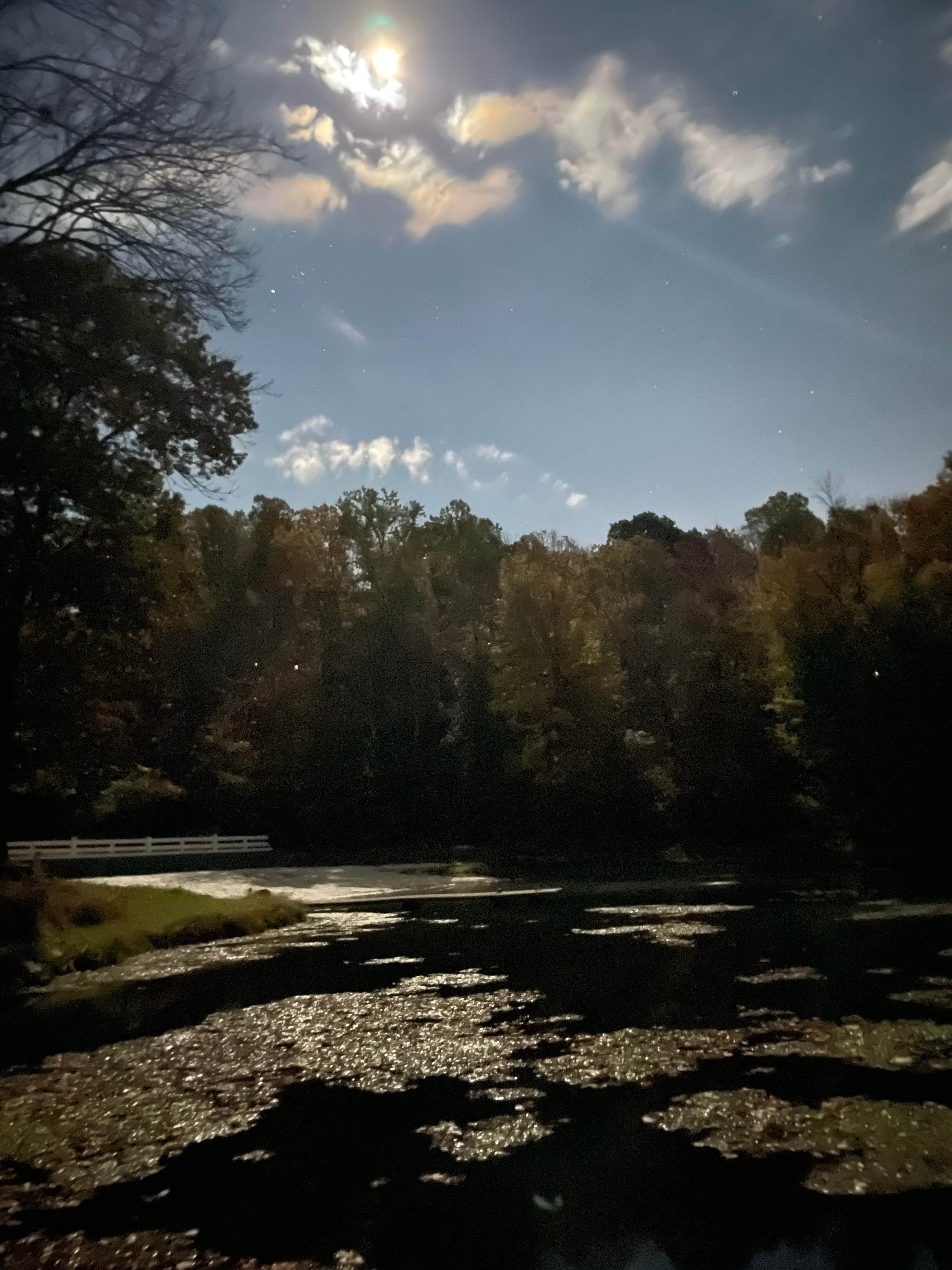 Camper-submitted photo at Woodland Trails RV and Campground near Ardsley, NY