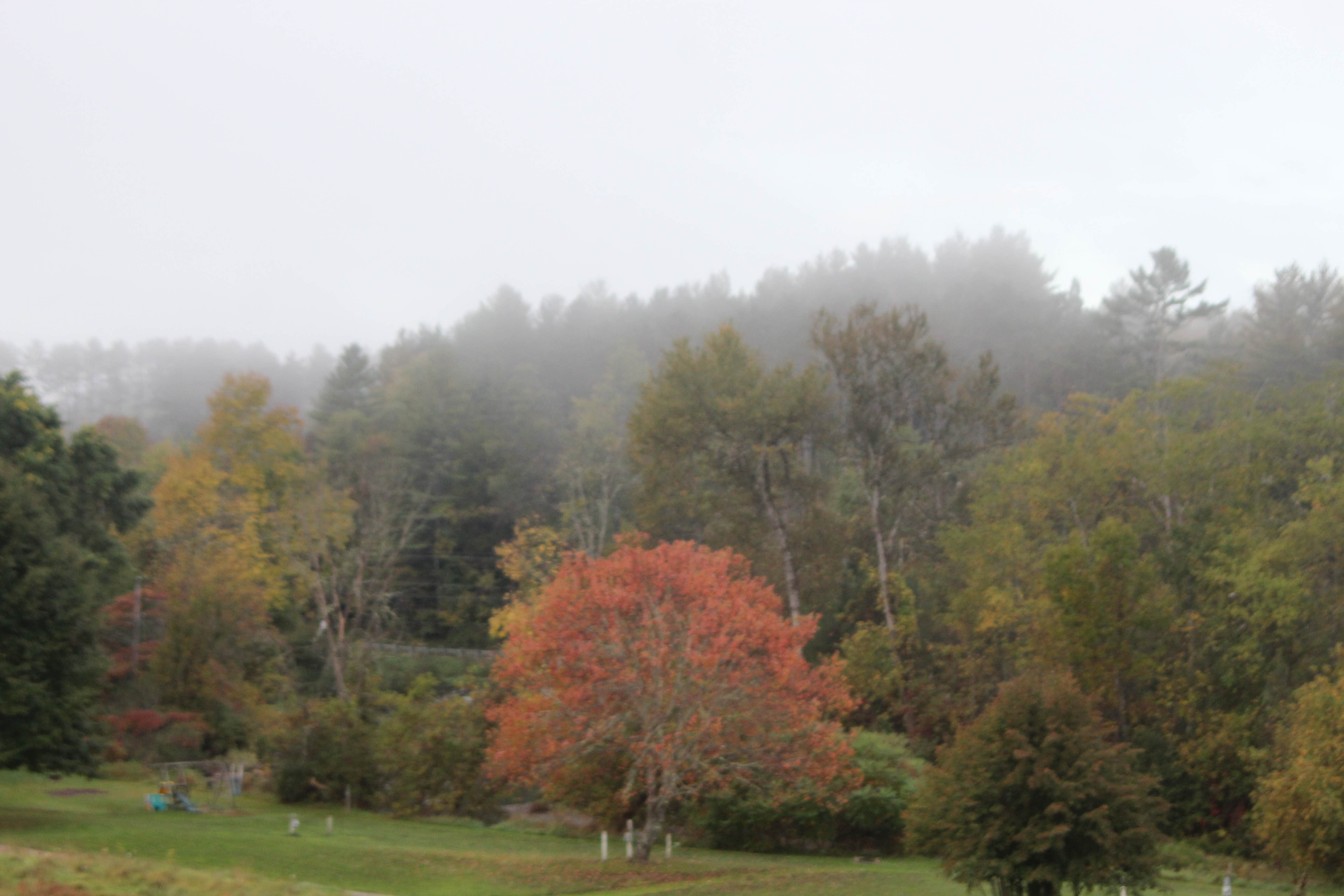 Camper-submitted photo at Onion River Campground near Barre, VT